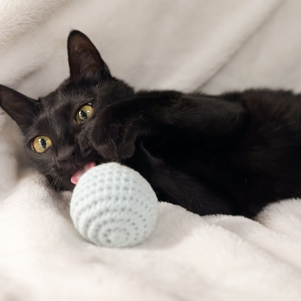 編織小球球｜海洋色系