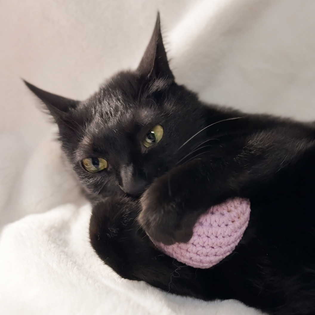 編織小球球｜芋泥色系