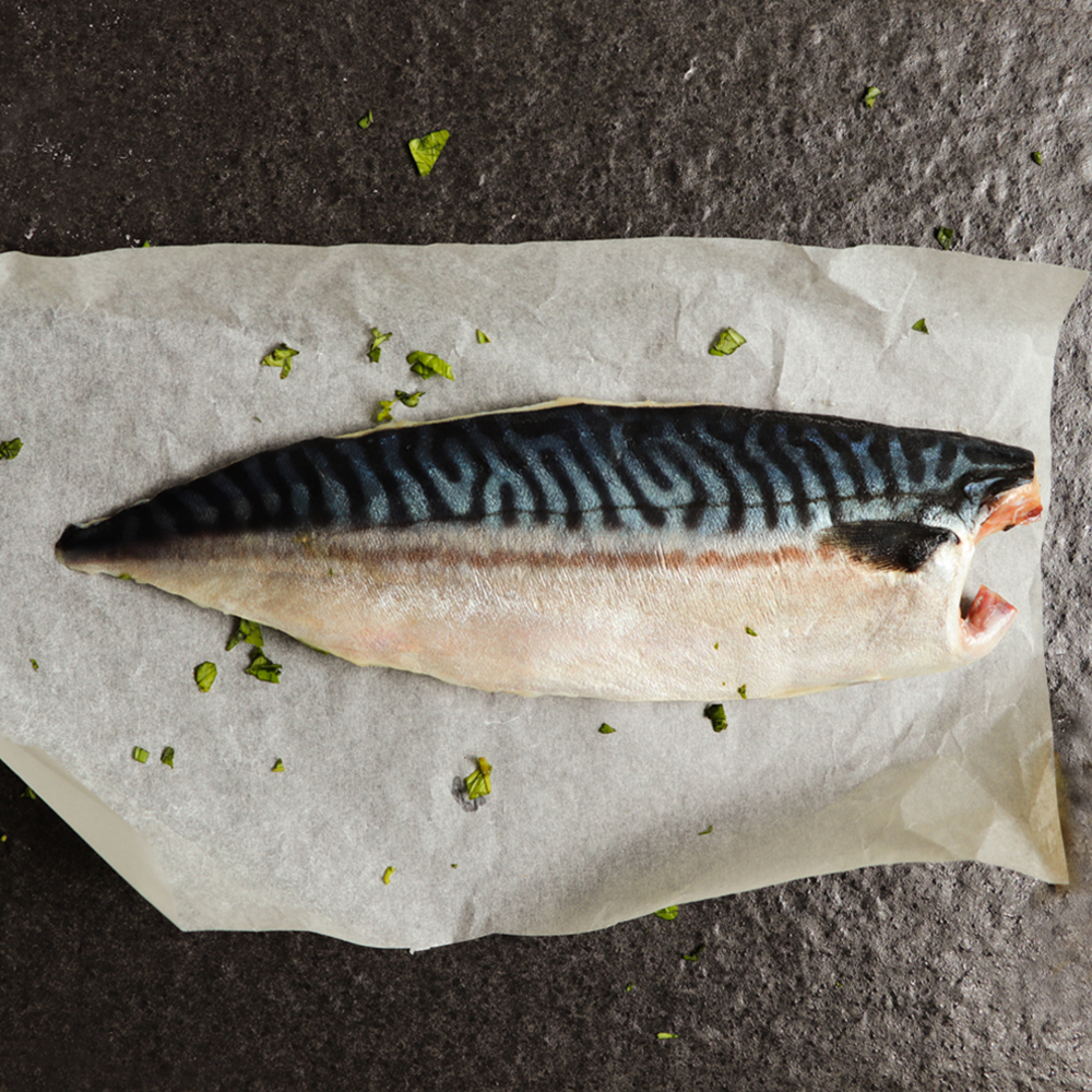 (贈品) 鯖魚+和牛漢堡排