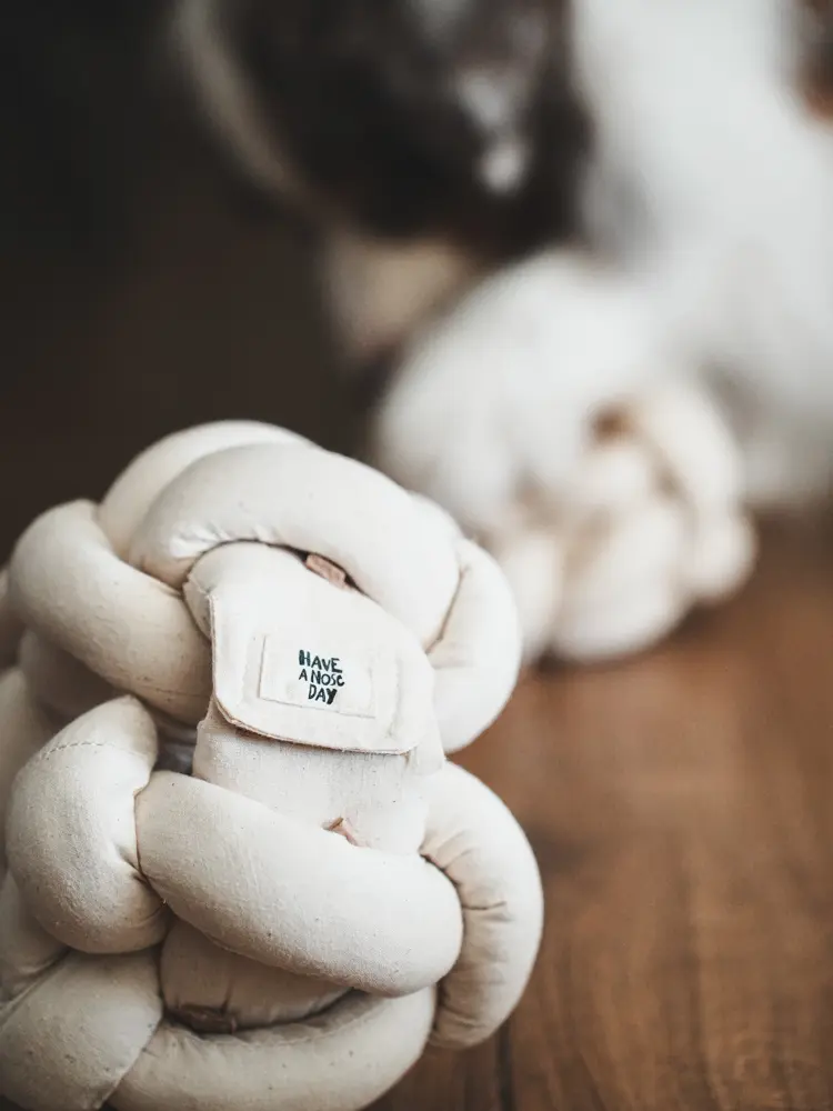 Have a nose day -嗅聞捲