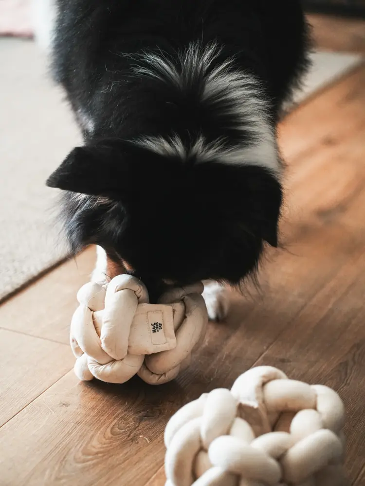 Have a nose day -嗅聞捲