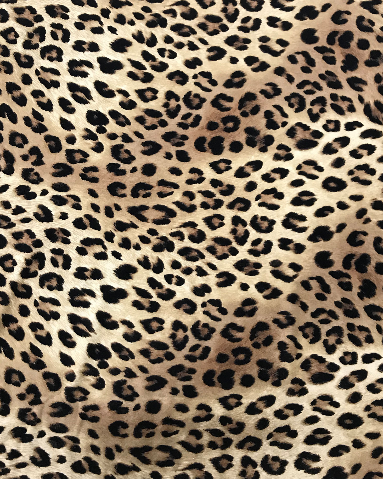 【豹紋系列】UPVEW 三角美胸海鷗丁連身泳裝