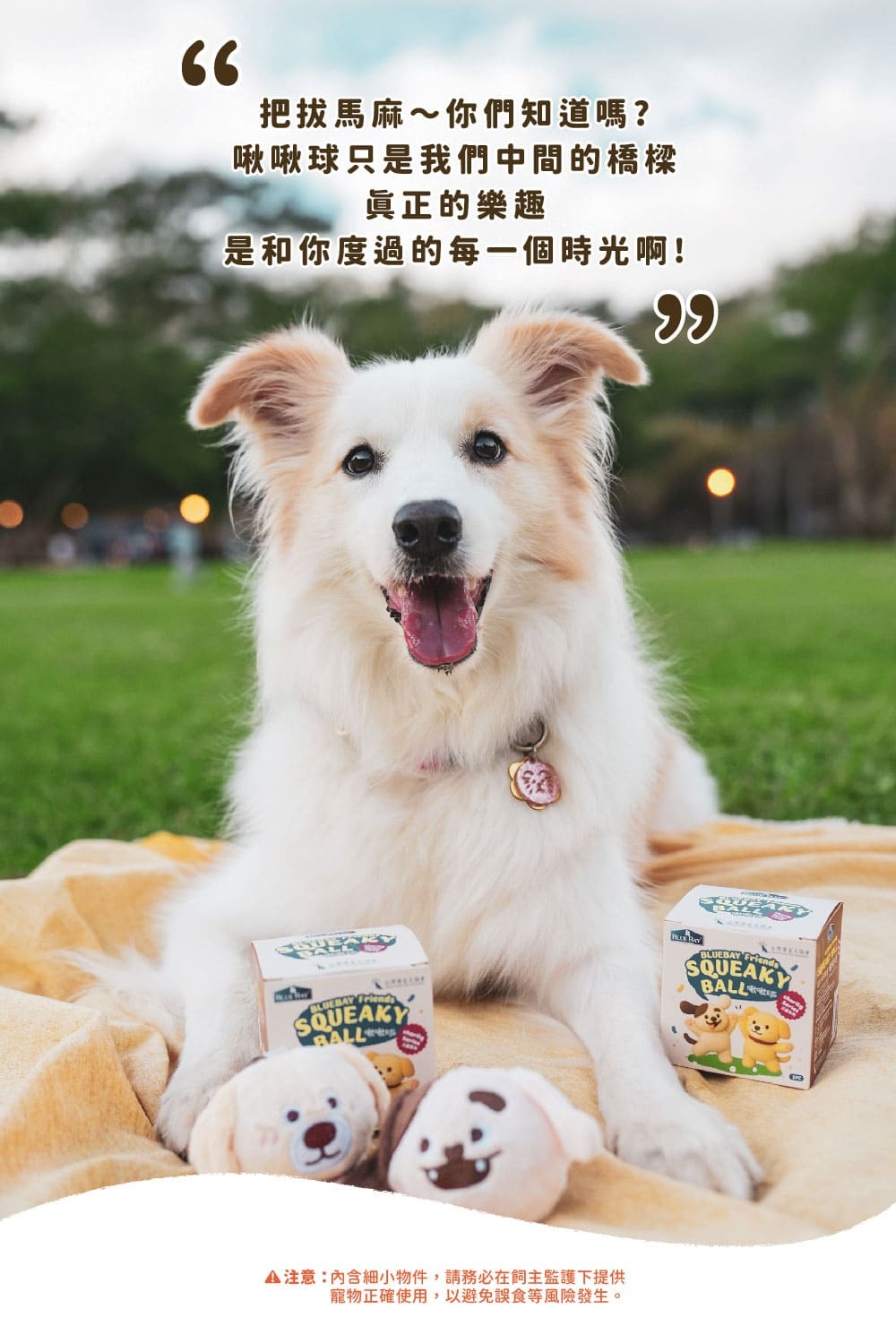 陪伴毛孩一同玩耍，增進感情，倍力導盲犬啾啾球