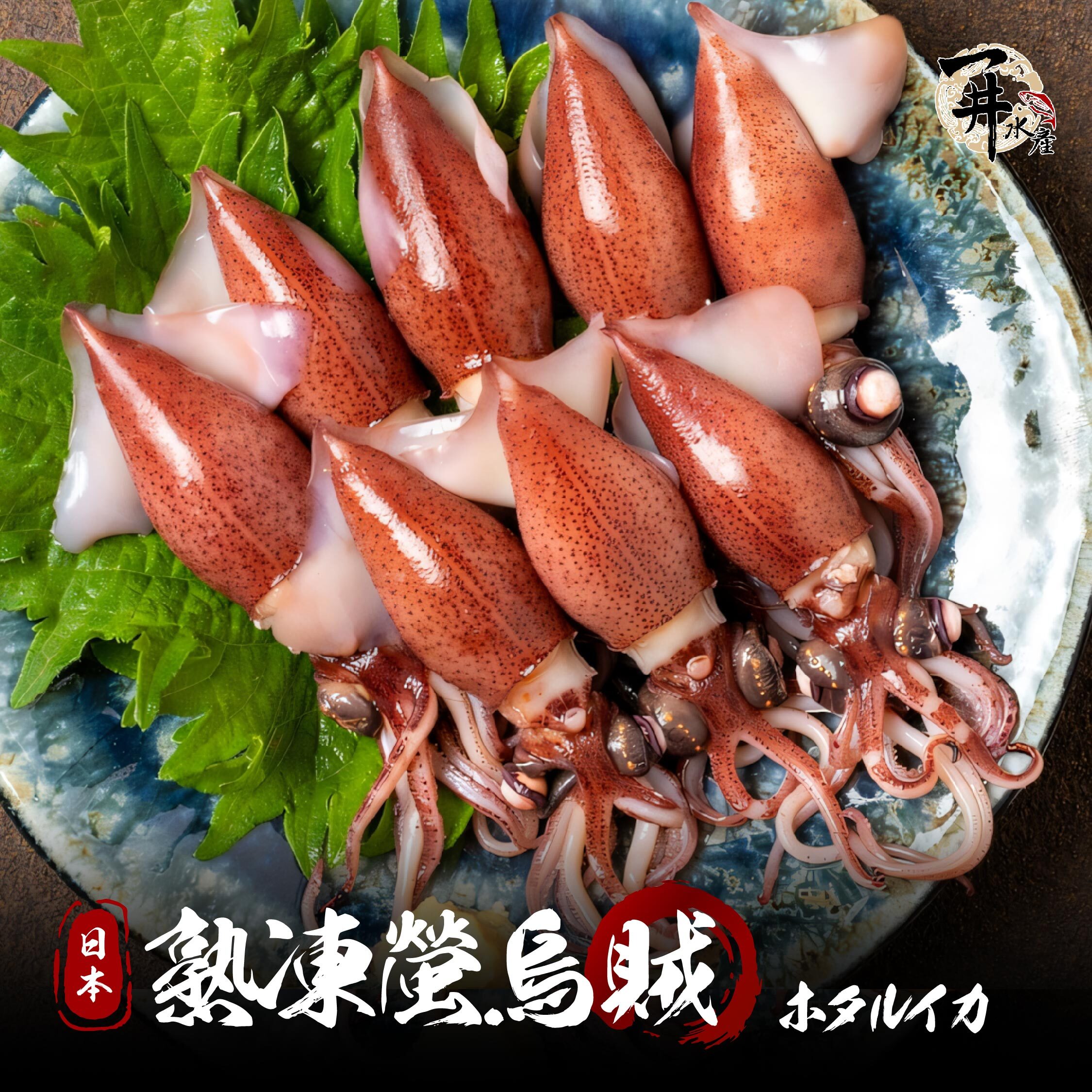 熟凍 日本螢烏賊