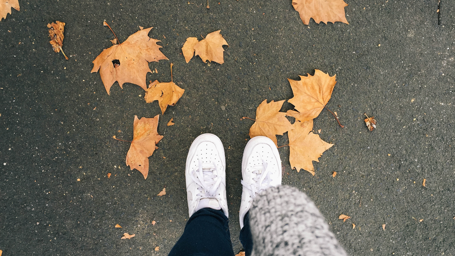 寒露,秋季,中藥雞湯,雞湯,溫補,秋日穿搭,微旅行,二十四節氣,散步,