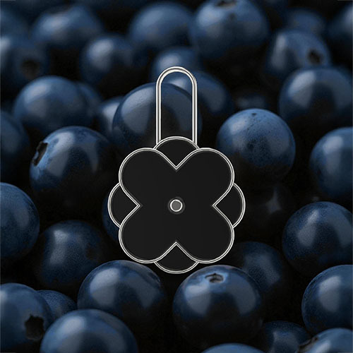 OLIVMEW FOA綴飾，置於藍莓背景之中，強調幾何造型與深色層次