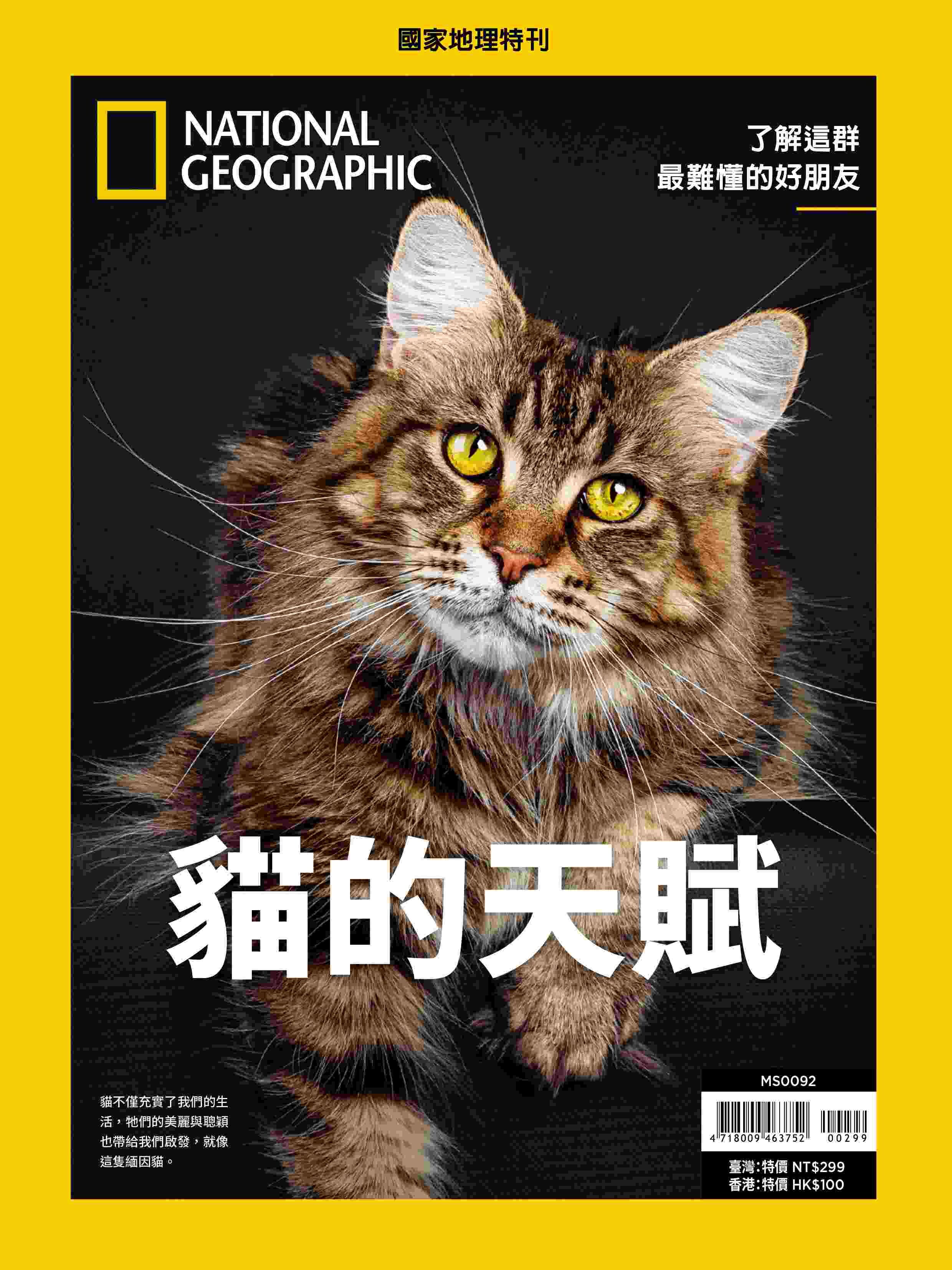 國家地理》2025年11月特刊：貓的天賦了解這群最難懂的好朋友