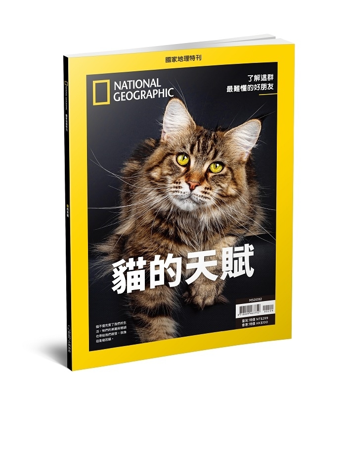 《國家地理》2025年11月特刊：貓的天賦 了解這群最難懂的好朋友