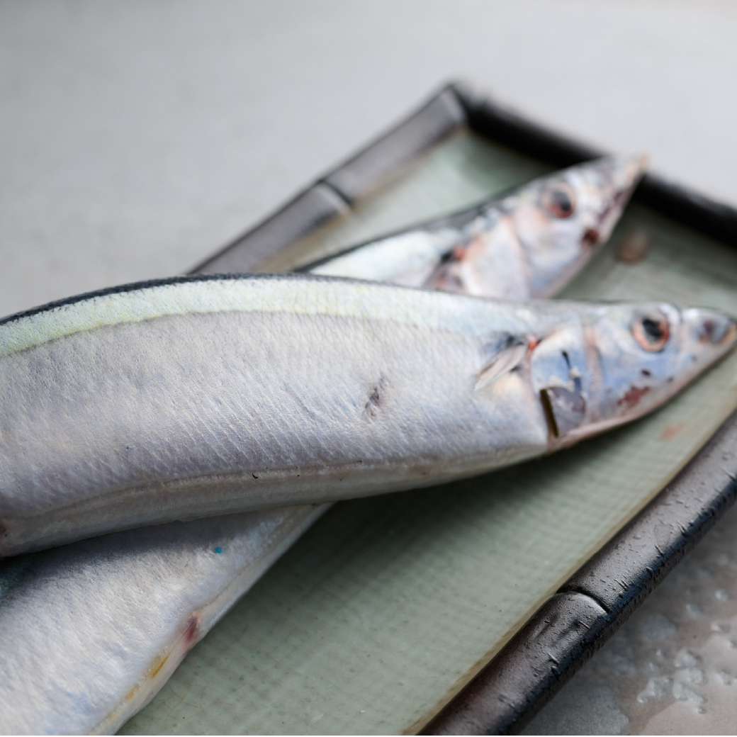 鮮魚-台灣秋刀魚(特大) 400-420g｜盛市集