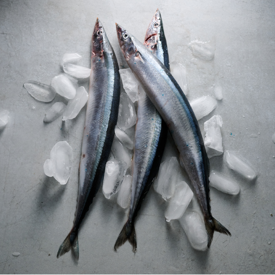 鮮魚-台灣秋刀魚(特大) 400-420g