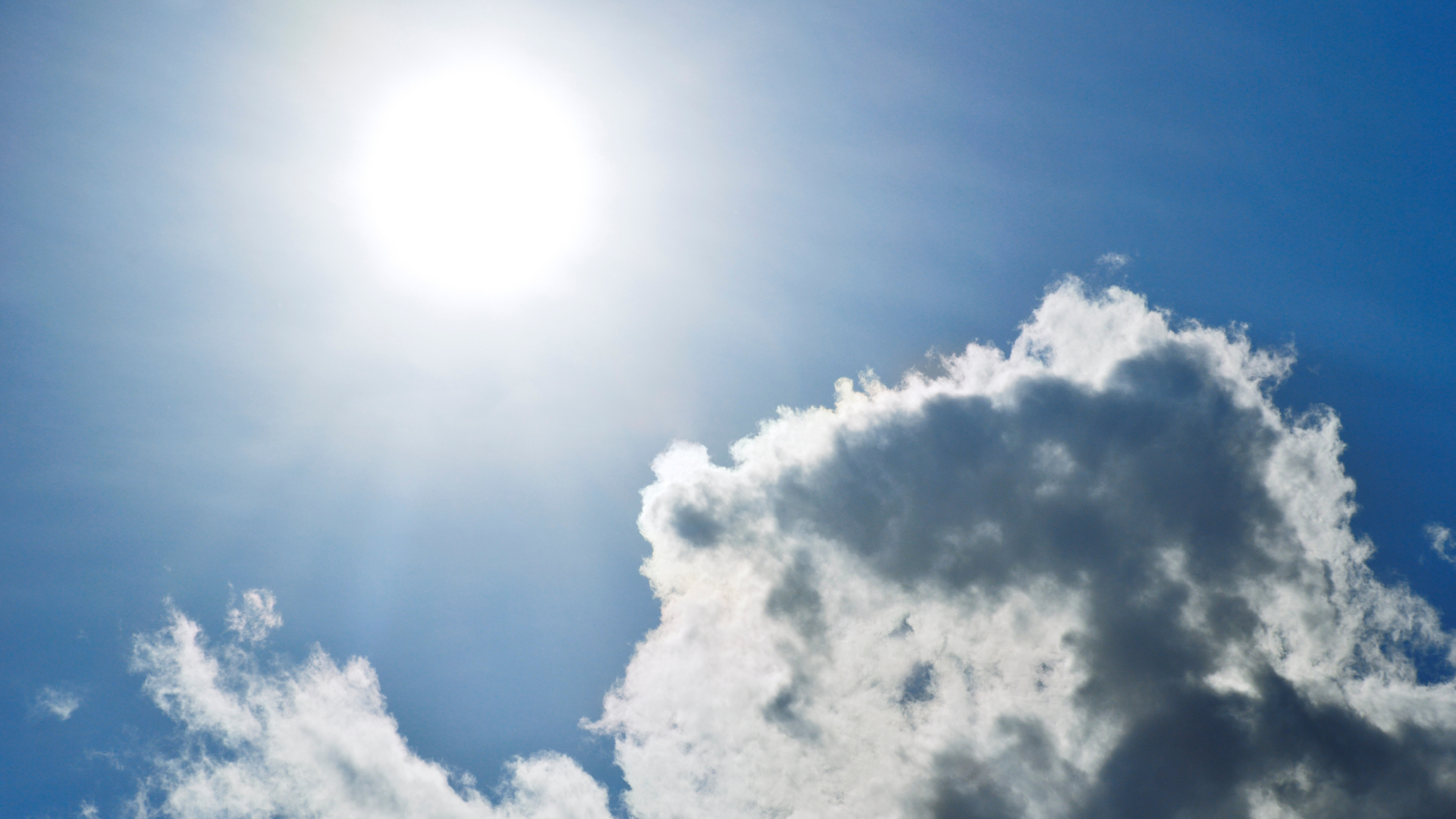 大暑,中藥雞湯,二十四節氣,