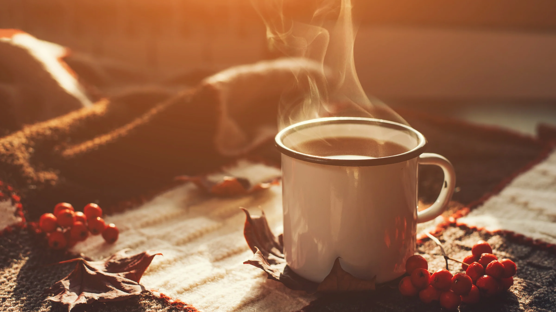 秋分,二十四節氣,秋季雞湯,中藥雞湯,雞湯,