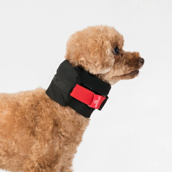 anifull 愛犬護頸椎