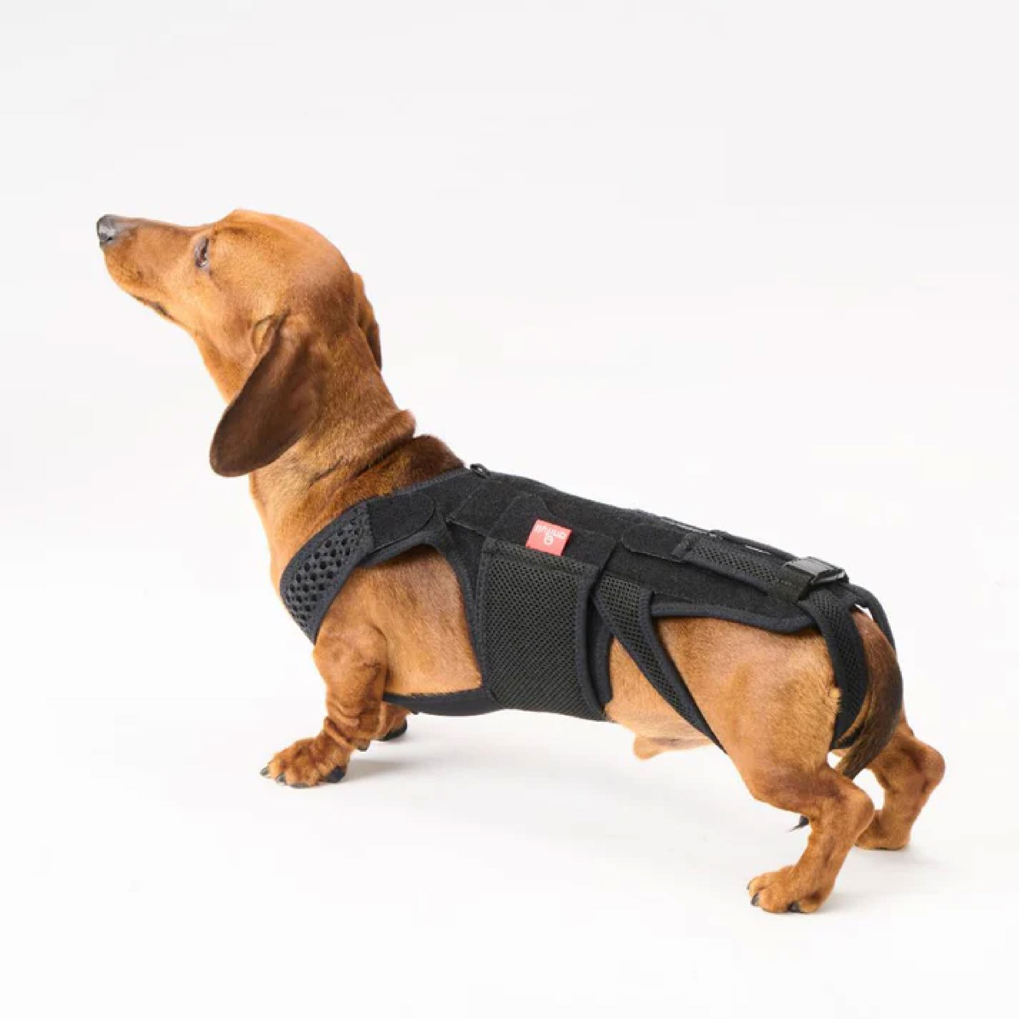 anifull 愛犬護腰-柔軟型