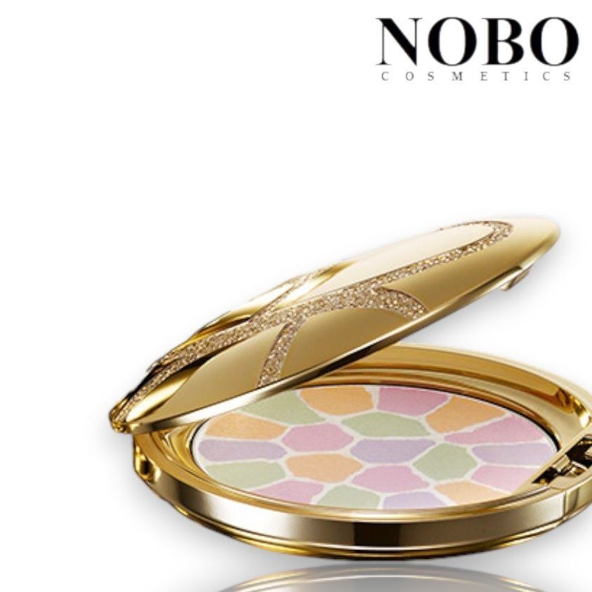 Albion - 澳爾濱 - Elegance 極緻定妝蜜粉餅 #II 02 8.8g [精巧盒裝版] (平行進口)