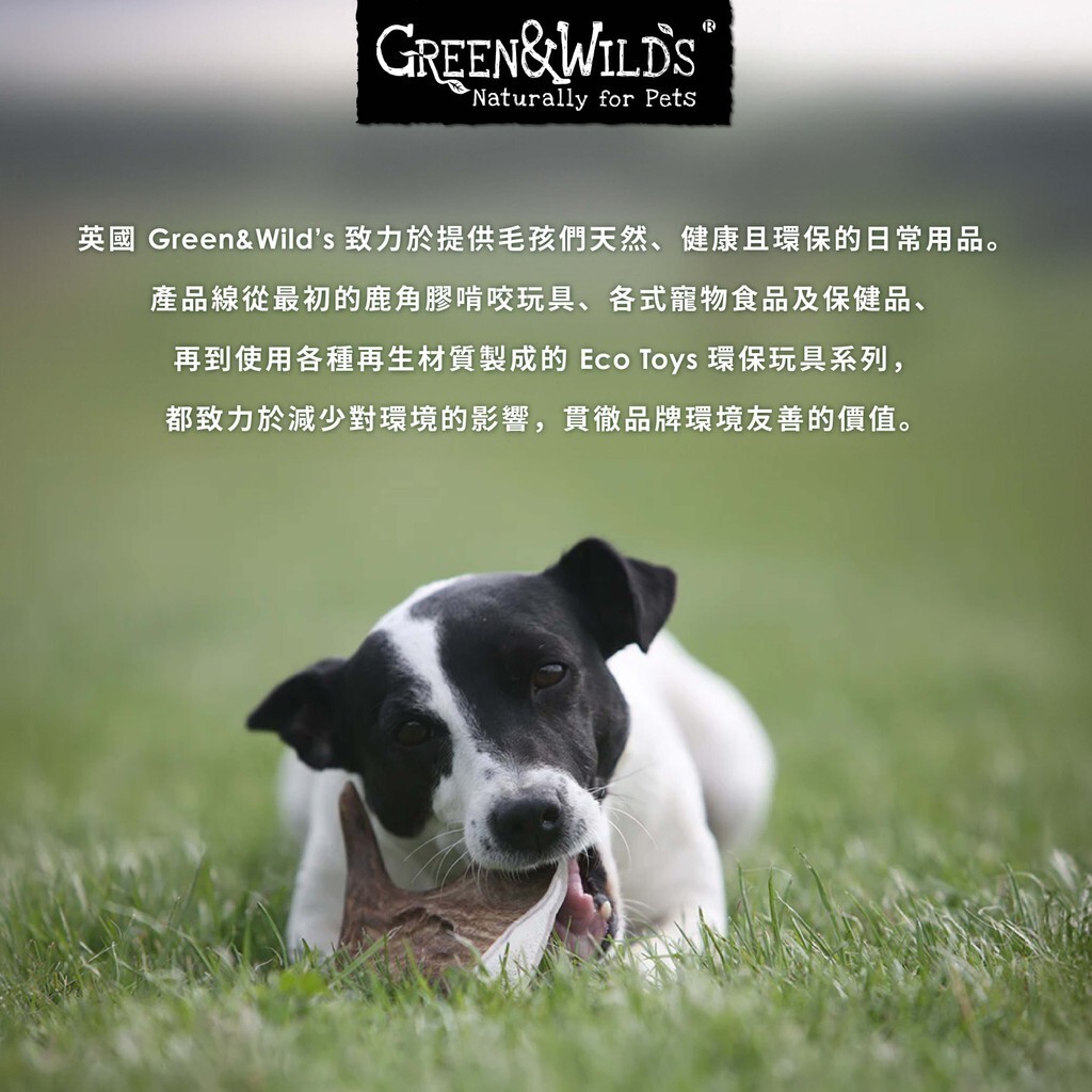 【 英國 GREEN & WILDS 】天然黃麻製犬用啃咬玩具