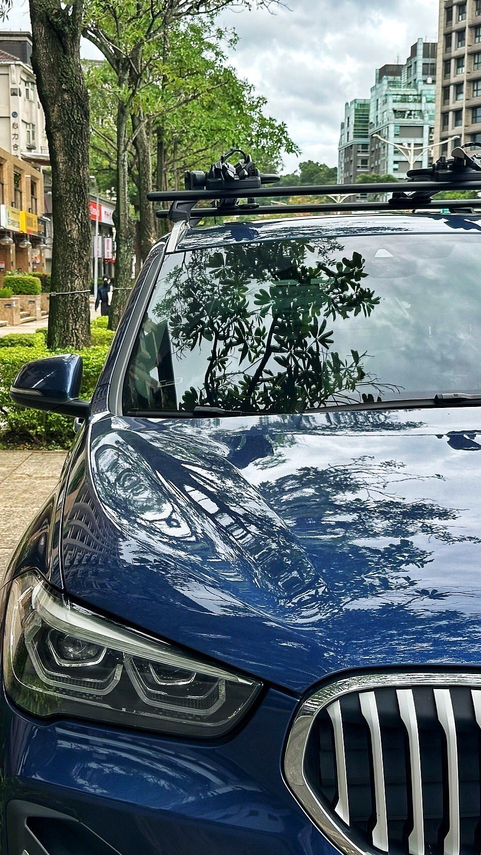 THULE 598B 598 單車架 BMW X1 單車 戶外 公路車 腳踏車 電動車 攜車架