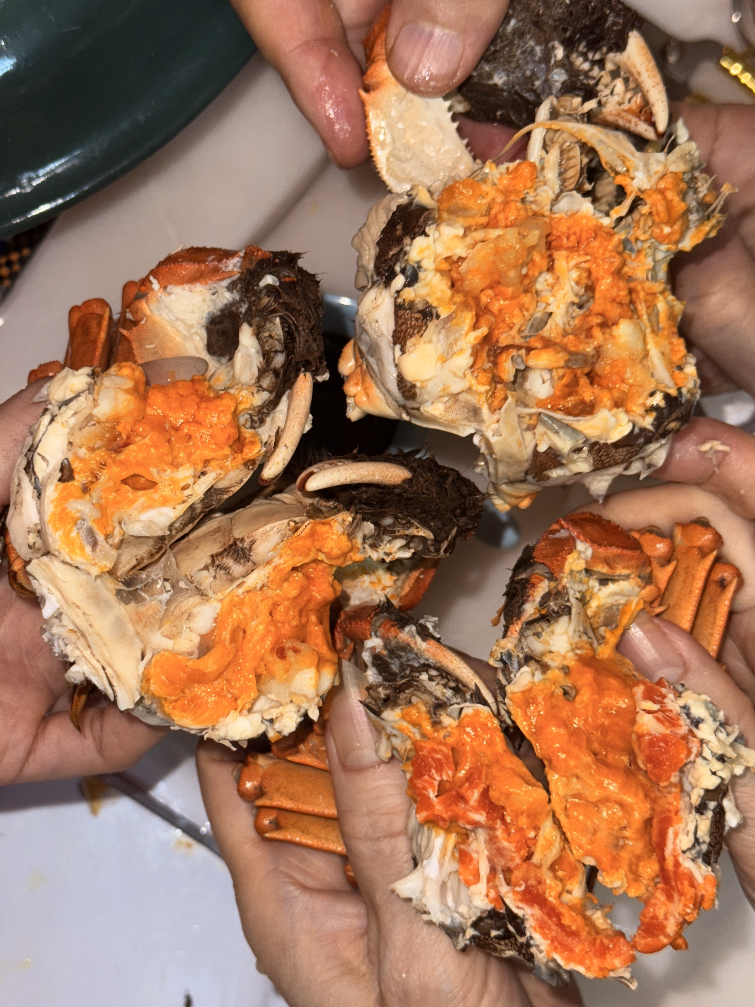 蟹季限定--太湖公＋乸套餐6隻（5.5-6両）