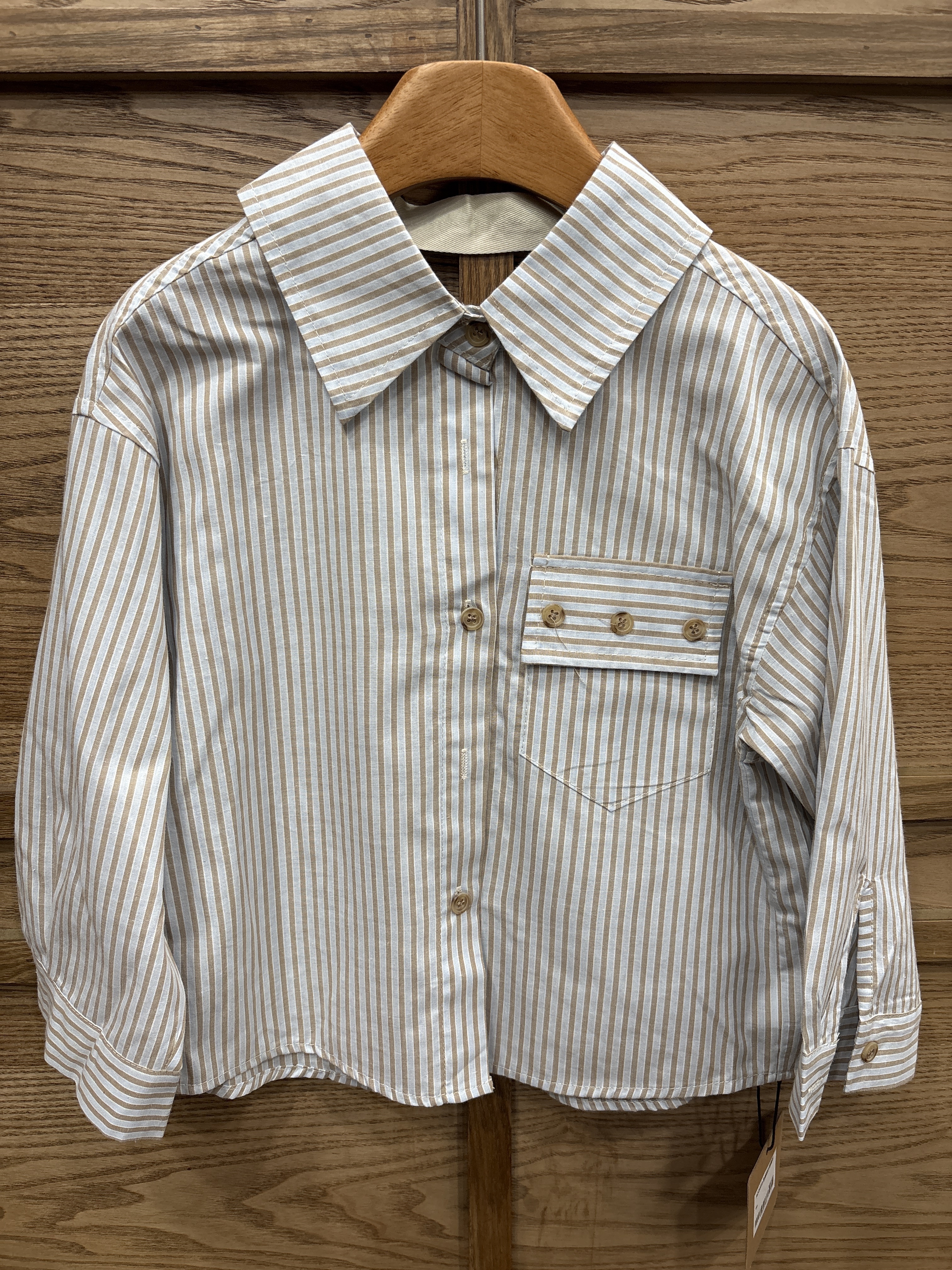 A03459 直線設計薄襯衫