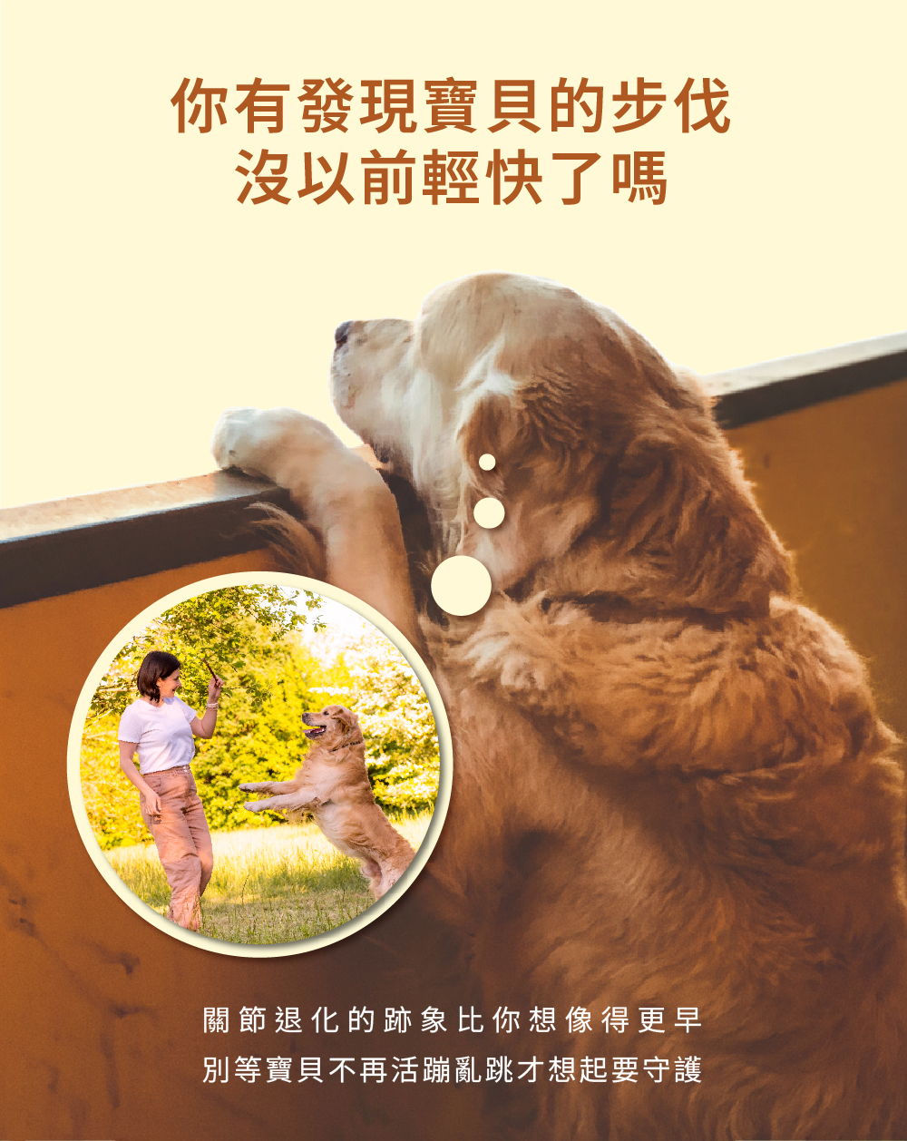 狗狗活動力下降