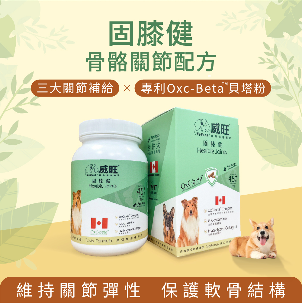 關節保養推薦產品 威旺WeWant 固膝健