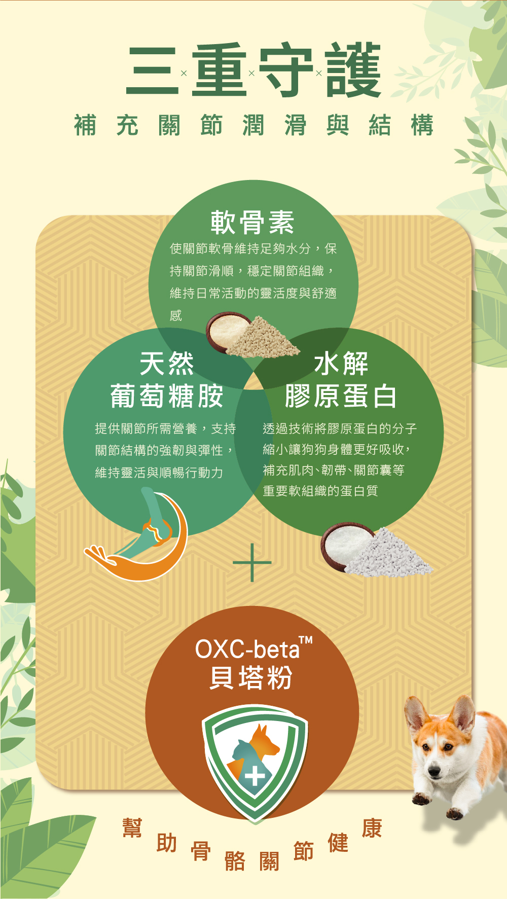 威旺固膝健，狗狗關節保健成分 葡萄糖胺 水解膠原蛋白 軟骨素