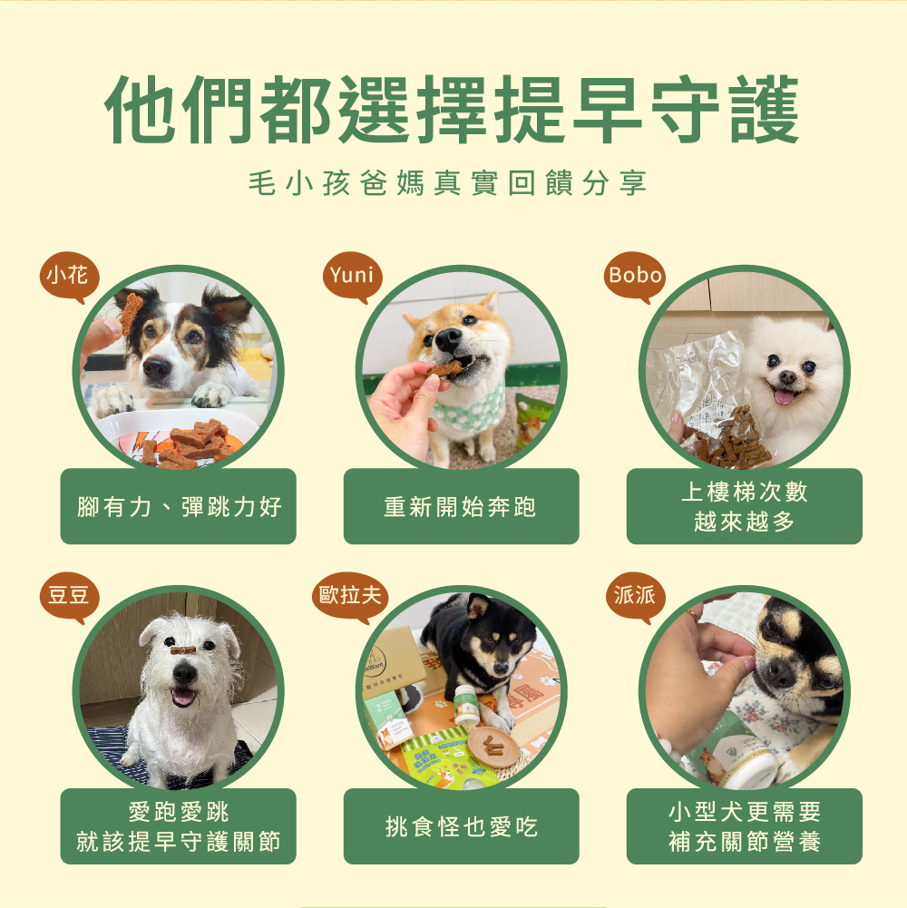 多種狗狗體驗回饋威旺固膝健，改善關節有感