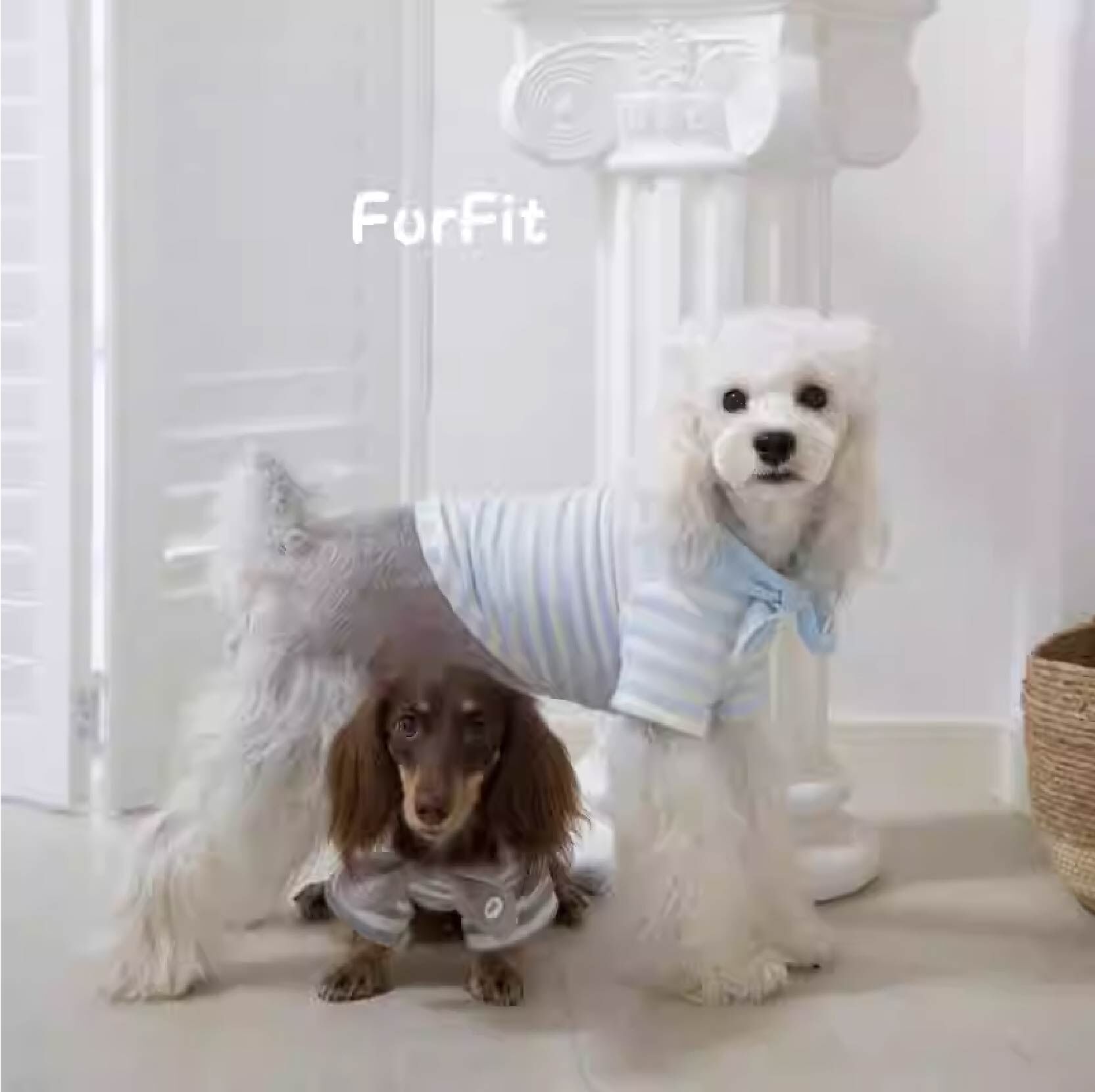 FurFit - 全棉條紋領結寵物上衣- ( 奶藍色/奶綠色/芝麻色)