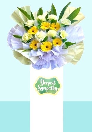 H10B⭐⭐⭐⭐⭐FREE DELIVERY