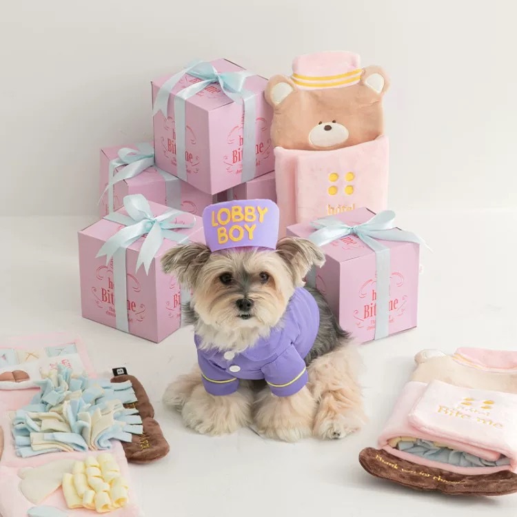 韩系ins 新款宠物小熊服务员玩具 藏食嗅闻垫 响纸发声玩具 狗猫