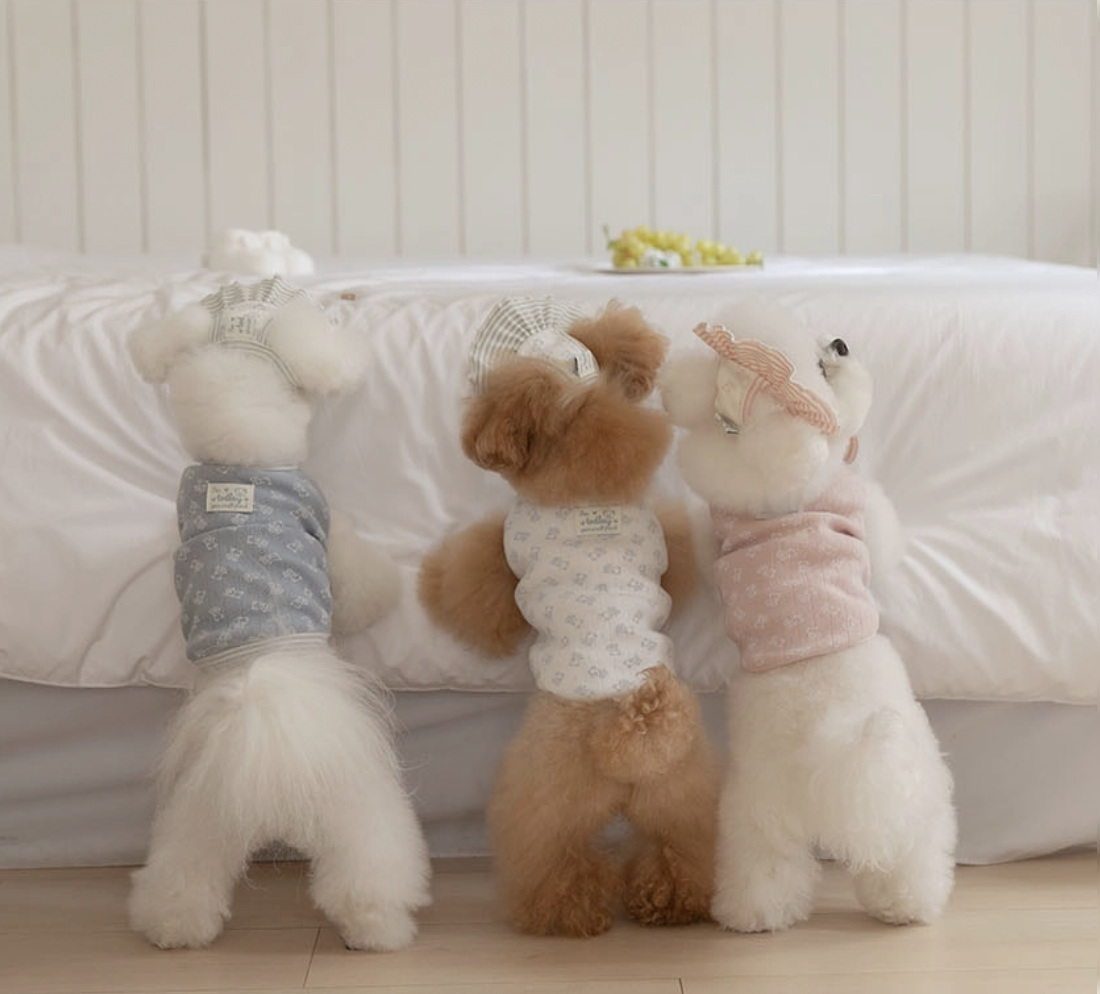 小熊寶貝連身衣