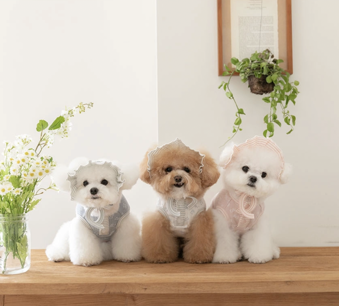 小熊寶貝連身衣