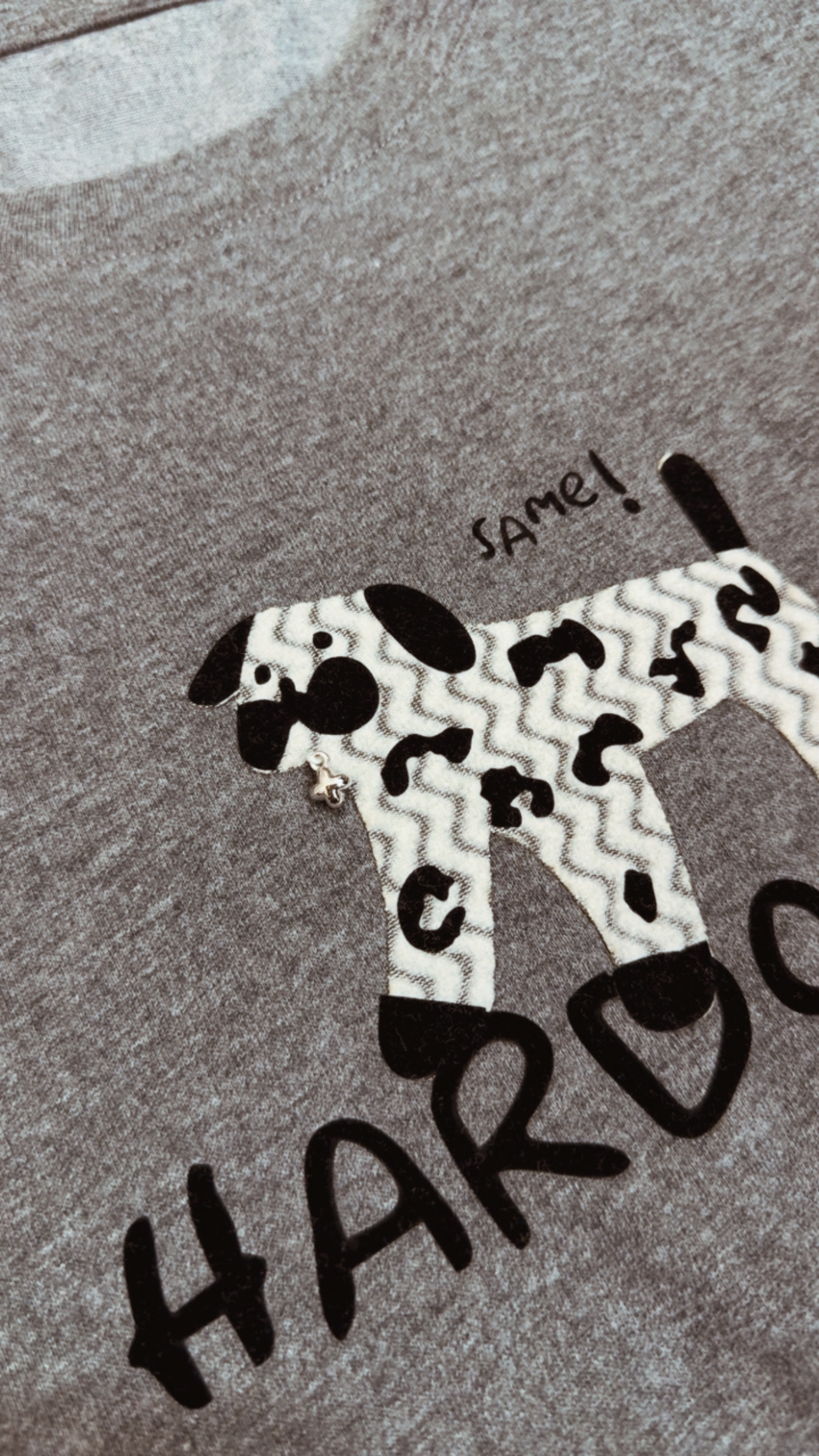 T5702Q韓國姊姊家/質感好的那種彈彈立體磨毛狗狗短袖上衣(含披肩)