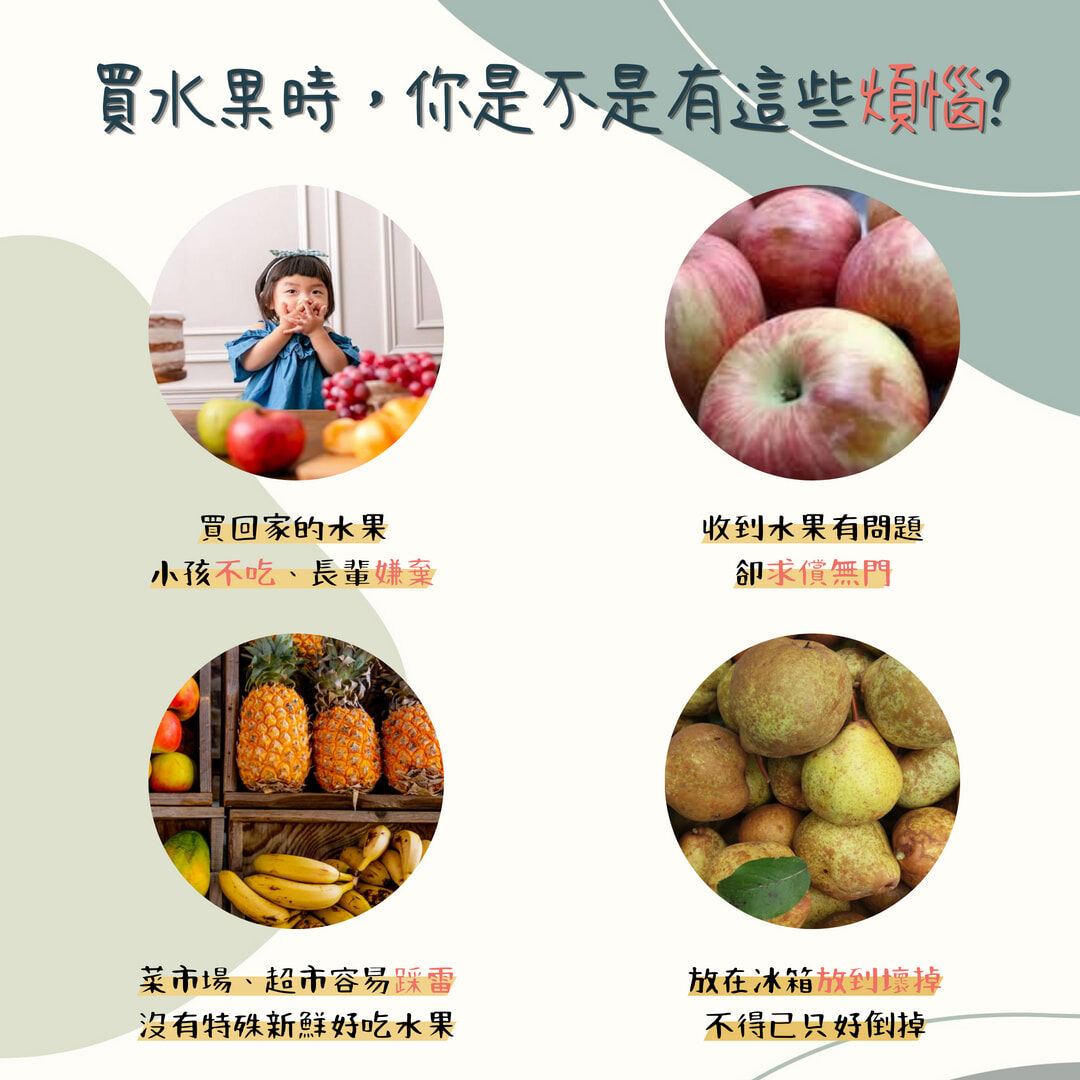 台灣紫樽百香果