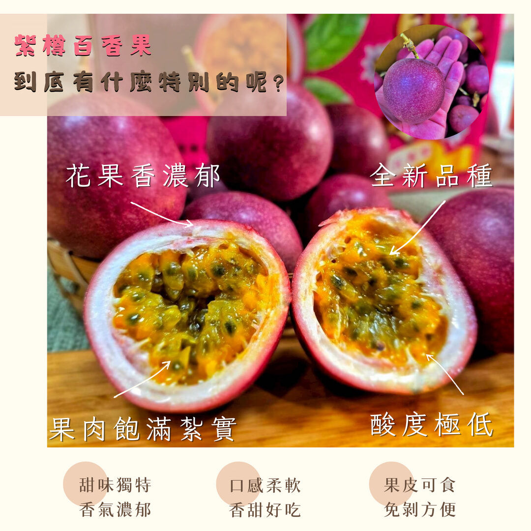 台灣紫樽百香果