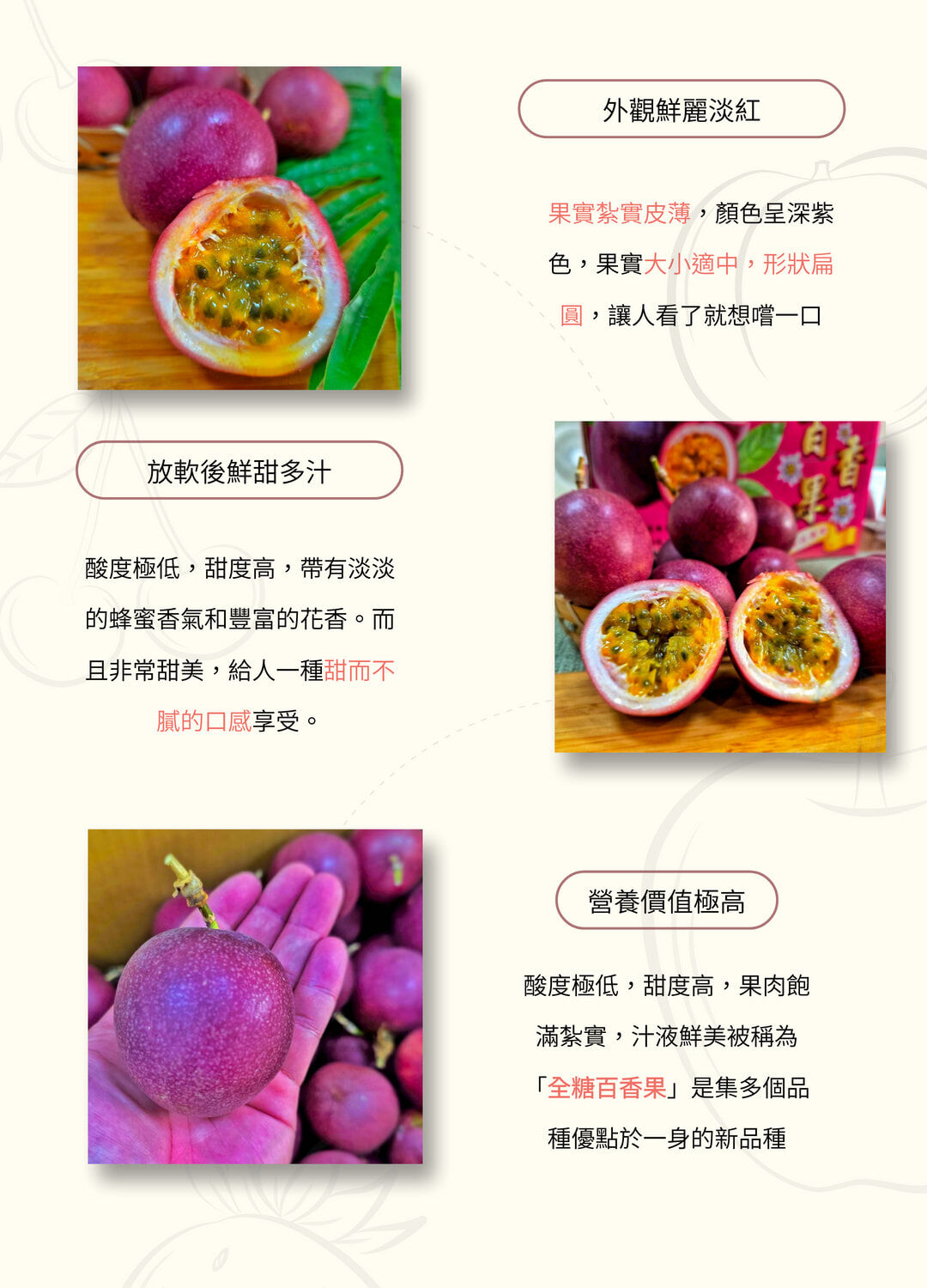 台灣紫樽百香果