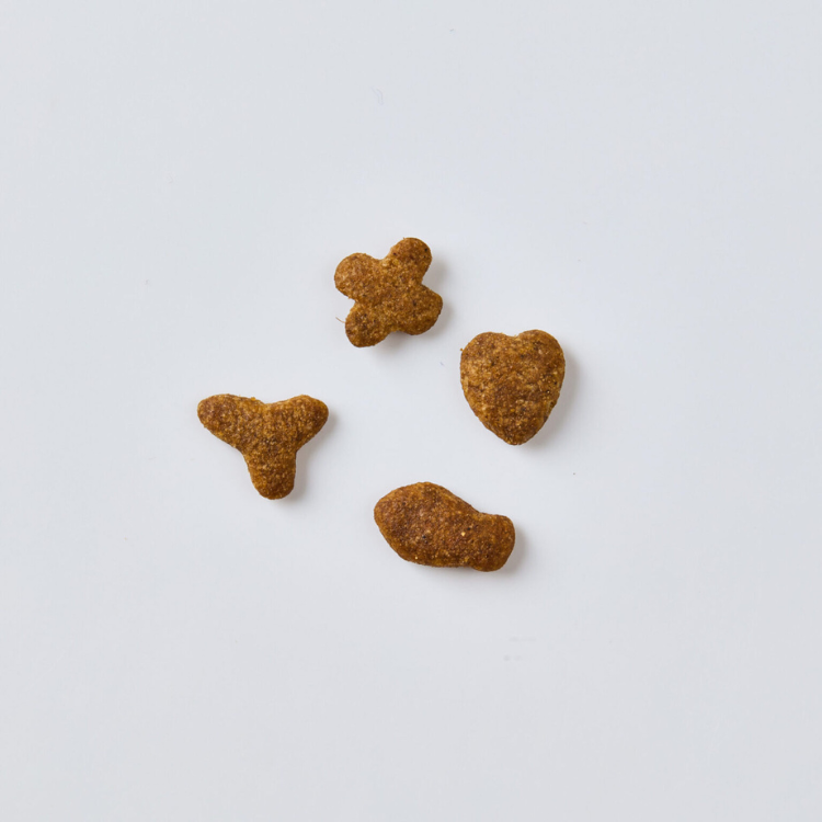 Pramy 三文魚雜莓 潔齒貓小食 50g