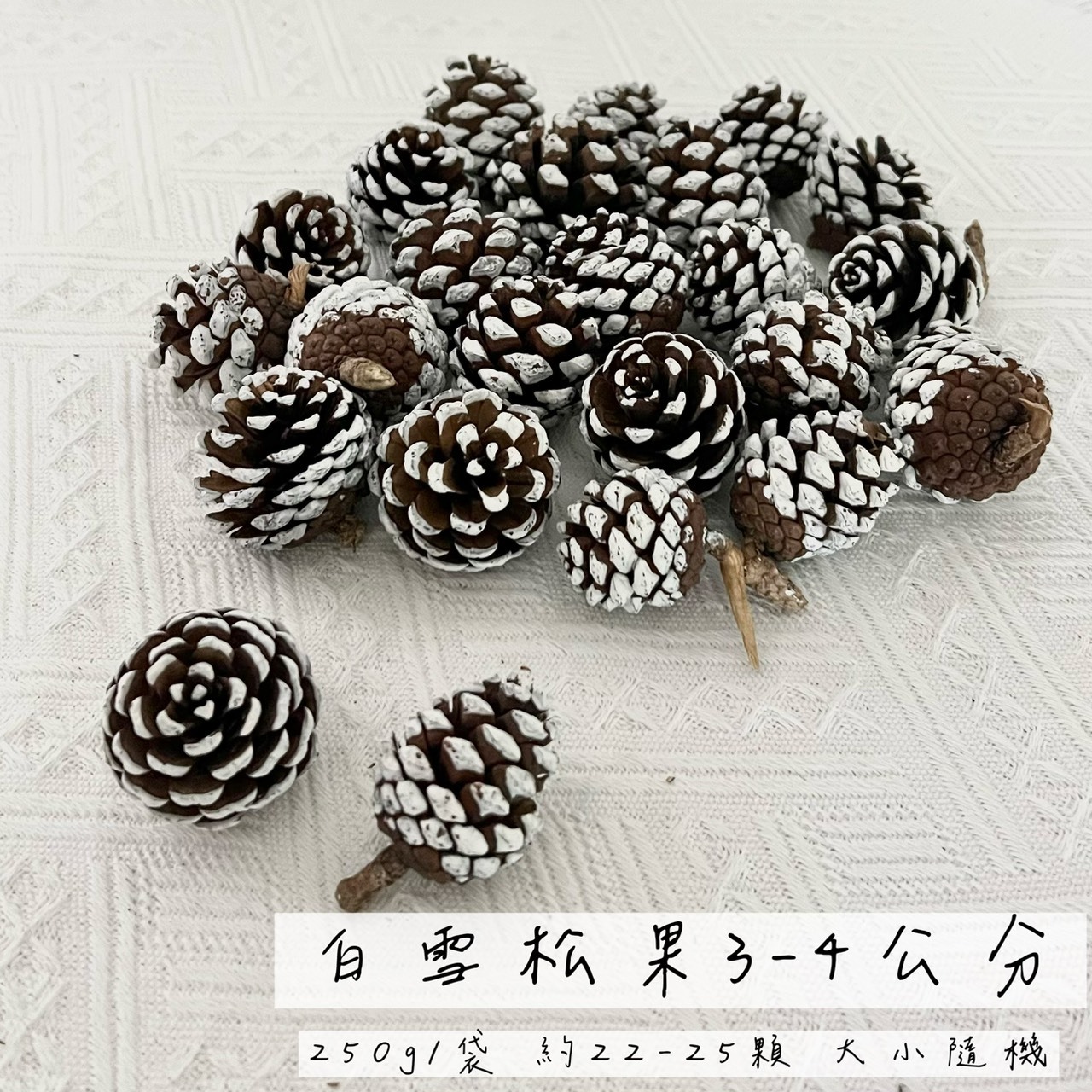 白雪松果3-4公分 (袋)