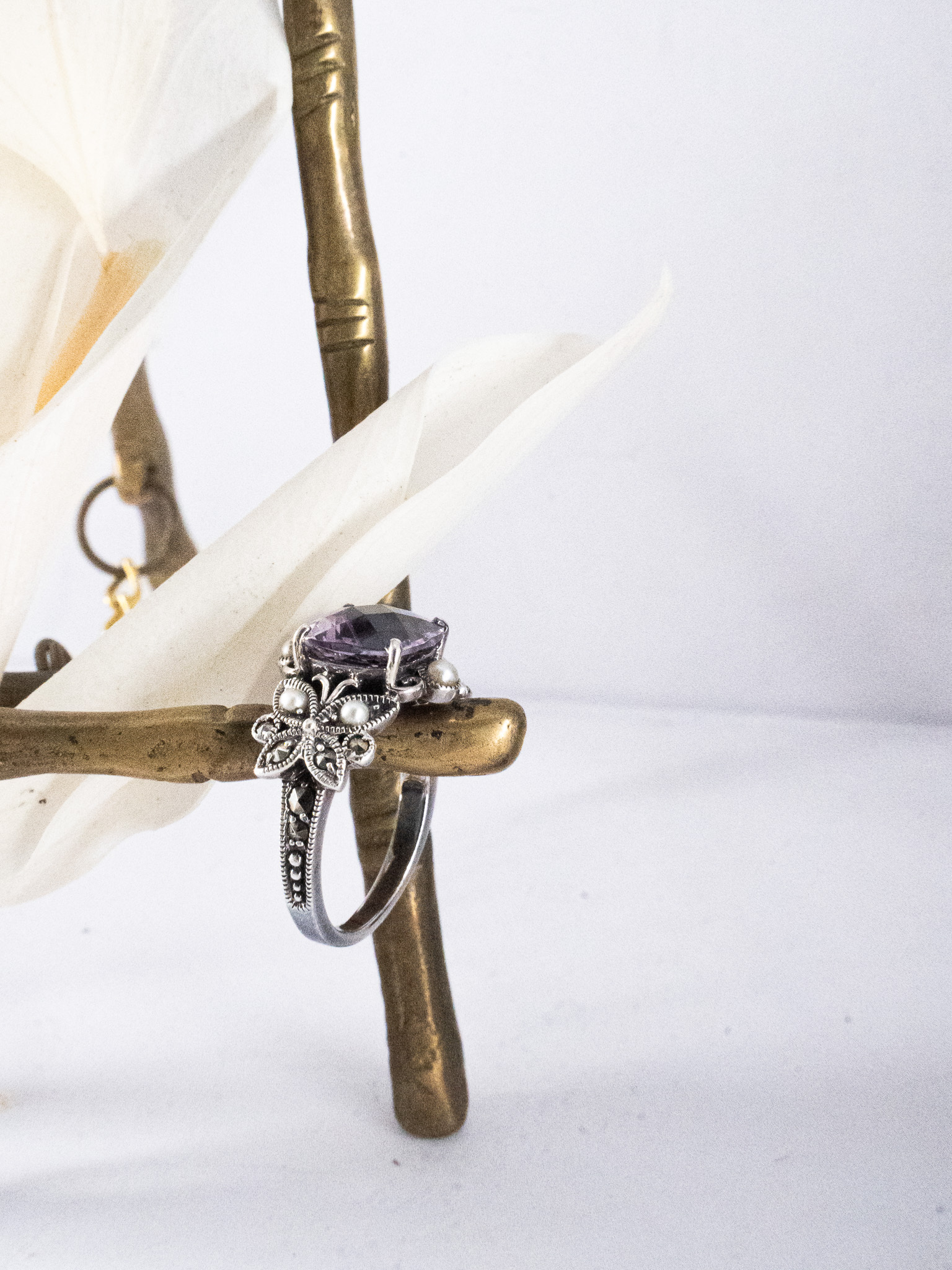 蝴蝶蝴蝶飛呀飛