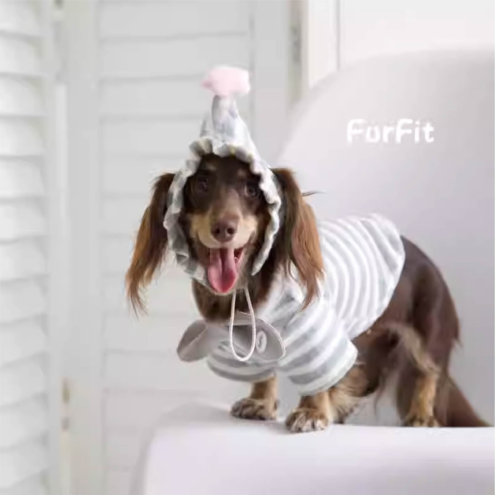 FurFit - 寵物條紋泡芙尖尖帽- ( 奶藍色/奶綠色/芝麻色)