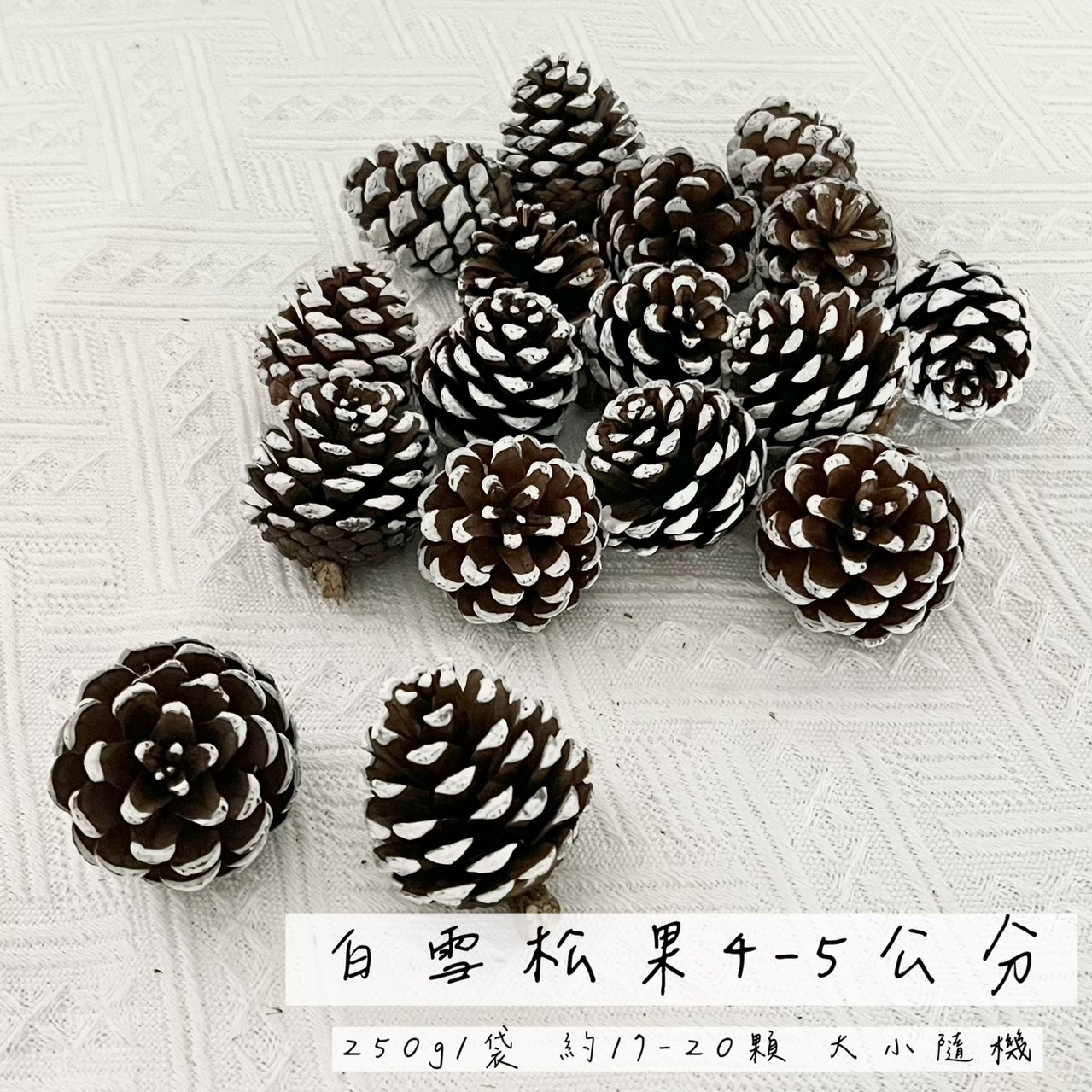白雪松果4-5公分(袋)