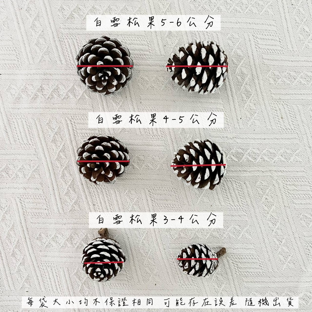 白雪松果4-5公分(袋)