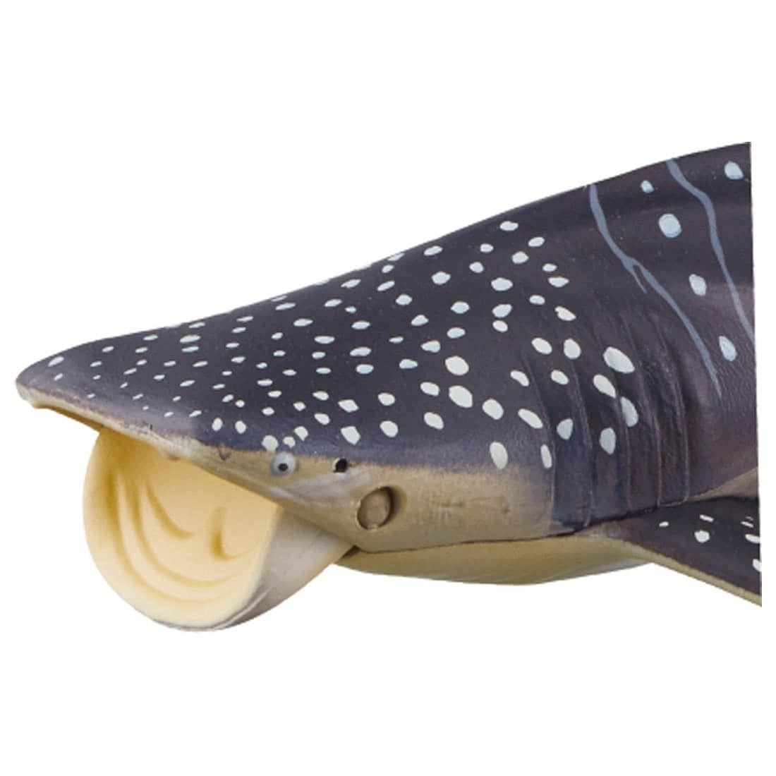 Ania動物系列模型-AL-05鯨鯊