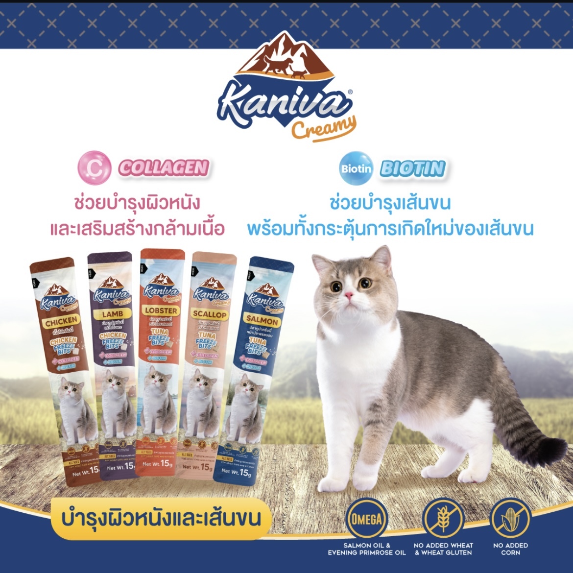 （5款）泰國Kaniva Creamy Freeze Bits 凍乾碎肉泥系列 1袋20小包