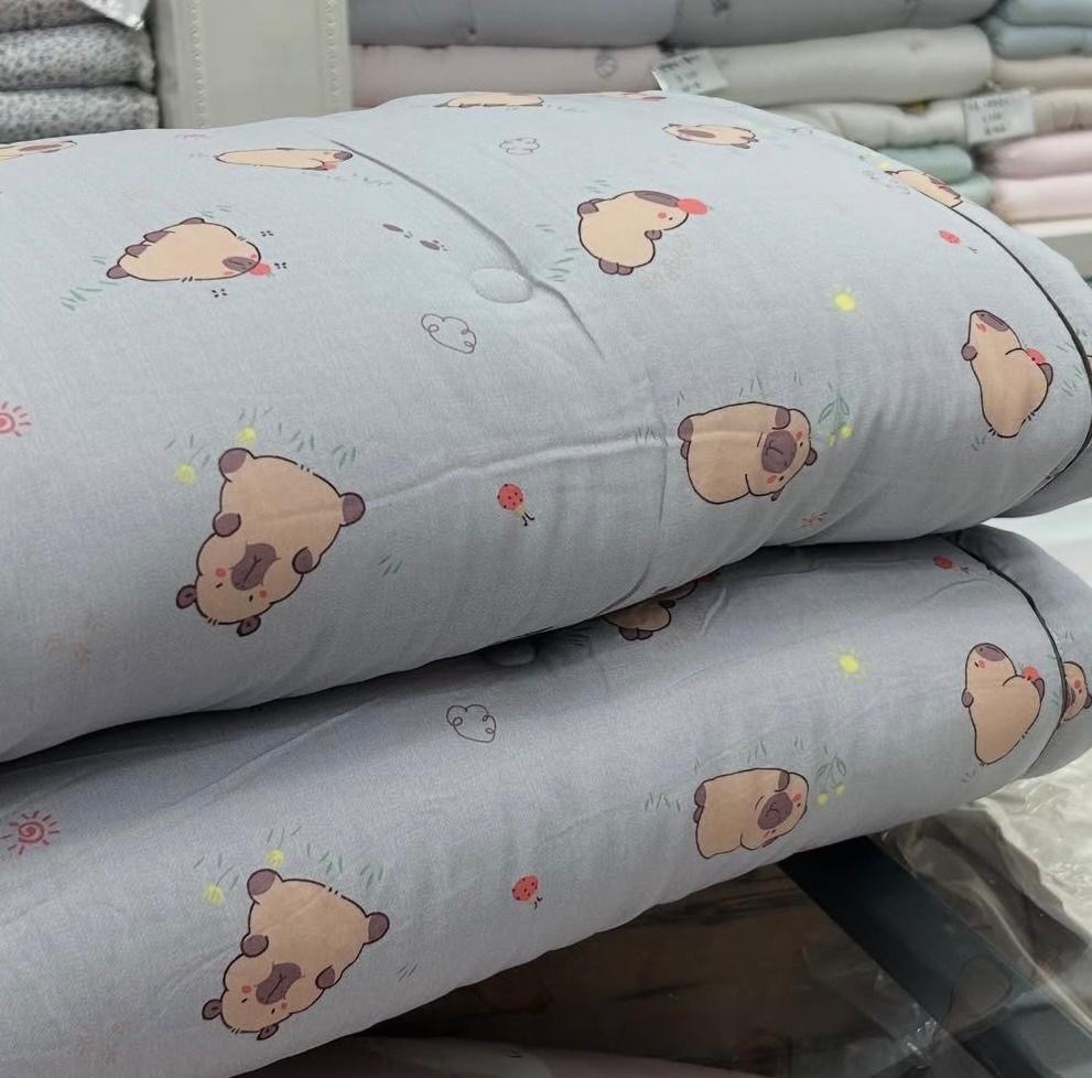 韓國 -水豚公仔四季棉被