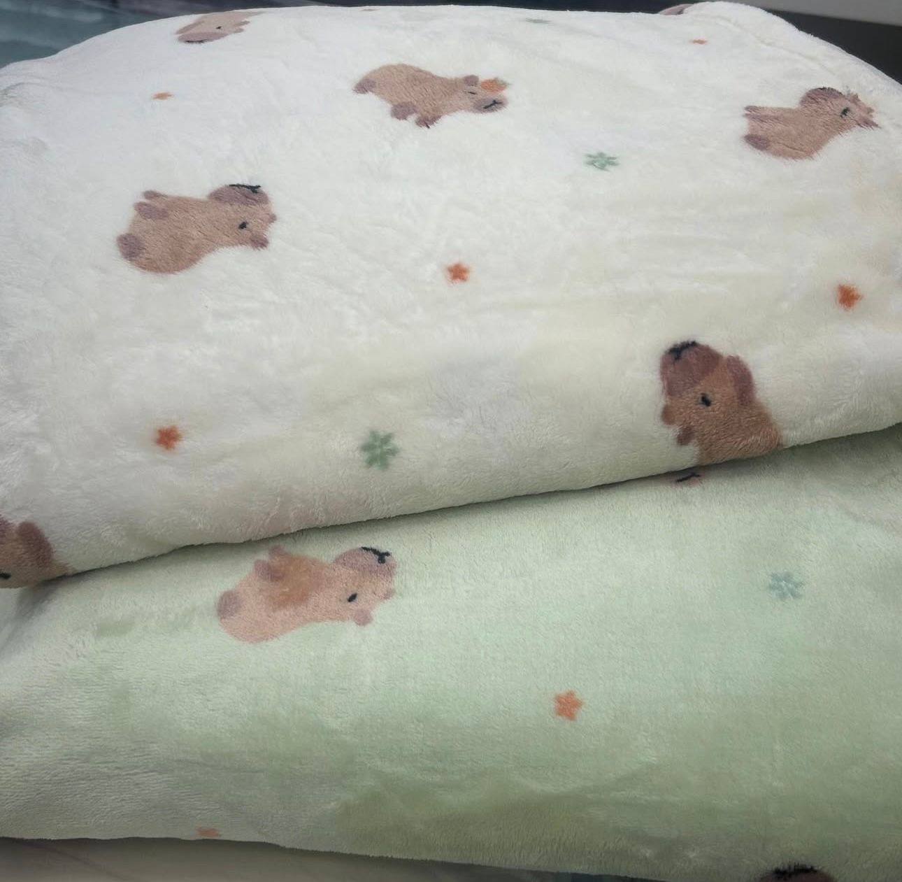 韓國 -水豚公仔四季棉被