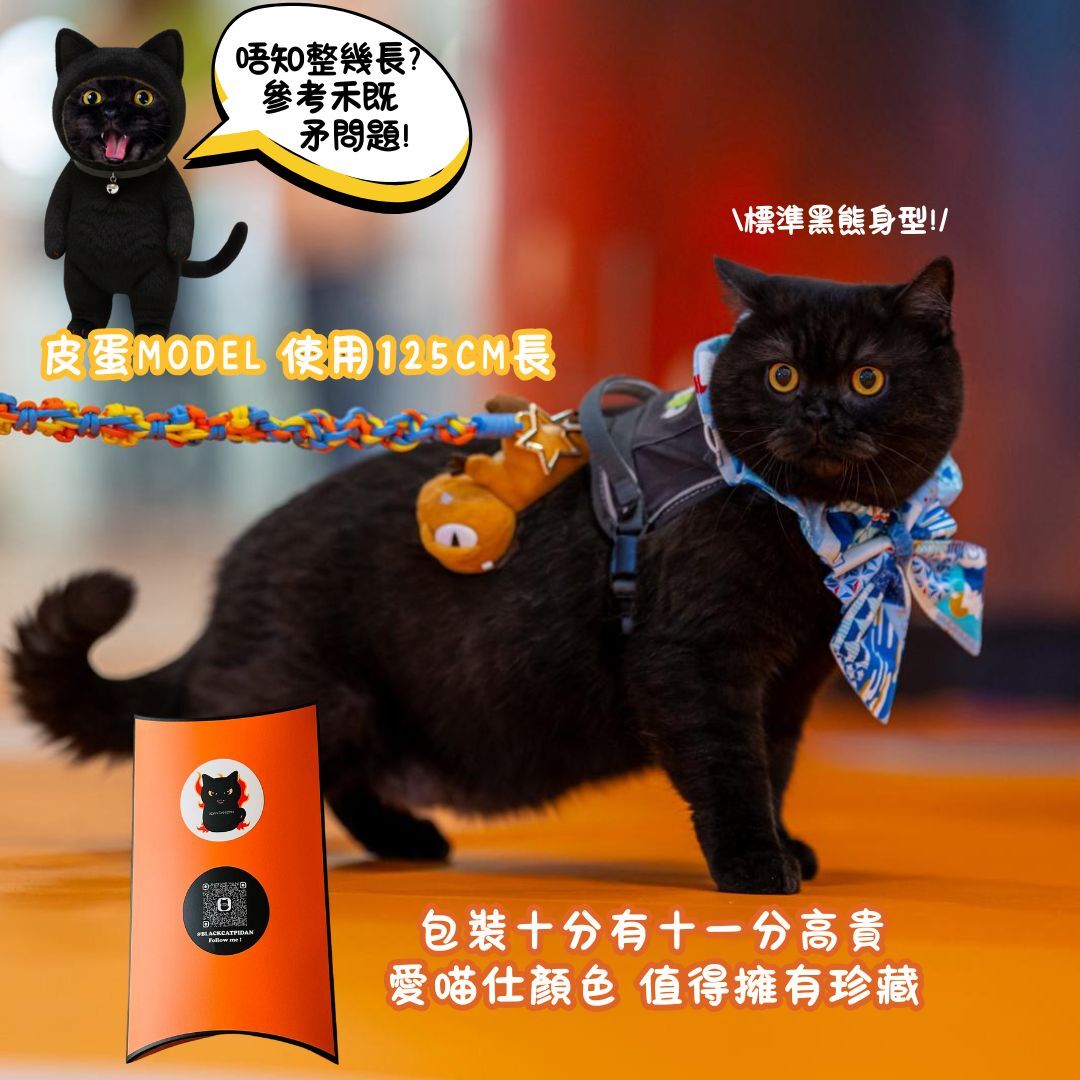 HungryPidan 大滷蛋基金會 - 手工毛孩外出防脫繩