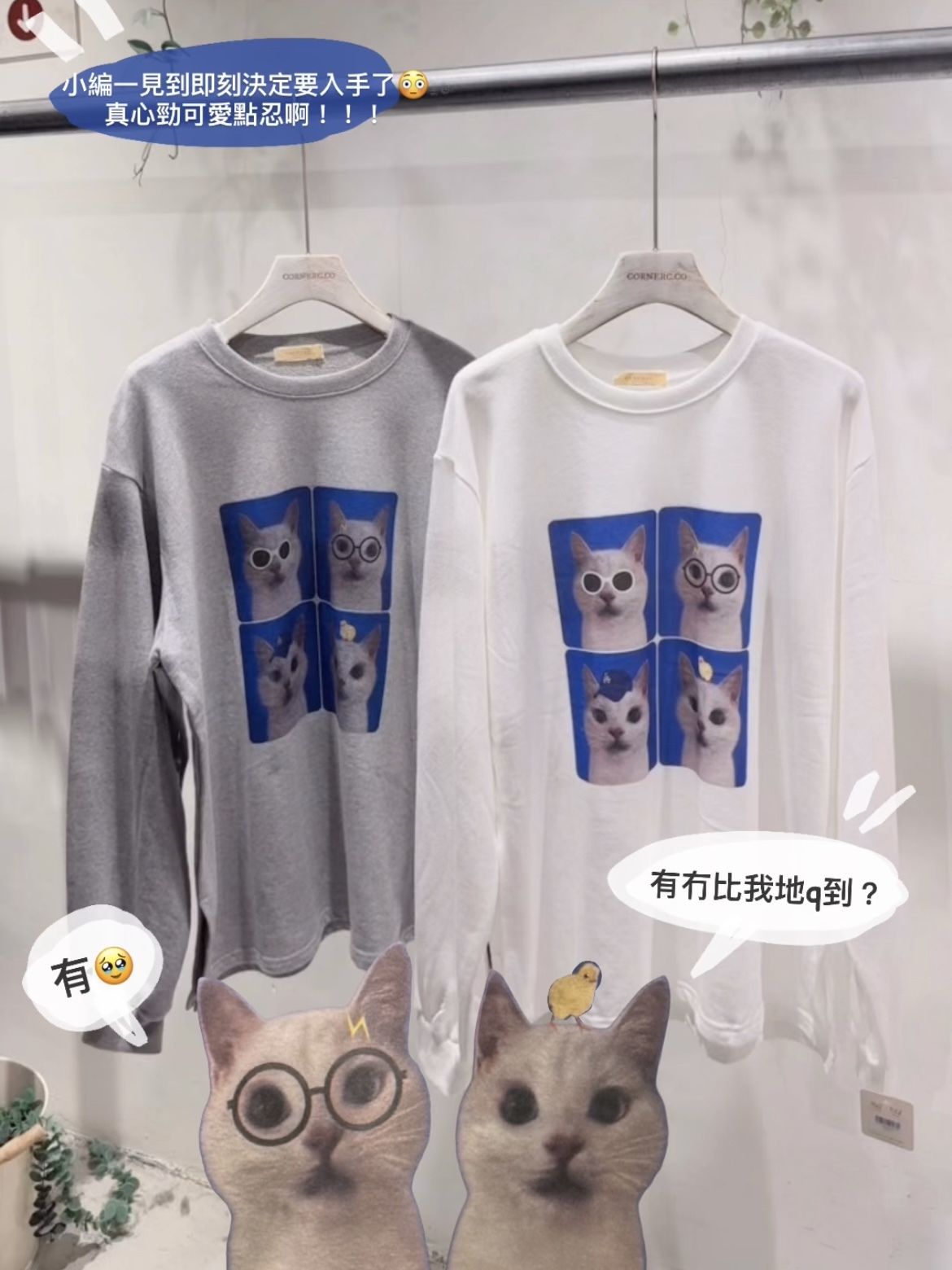 4 Cats Eat QQ Sweater
