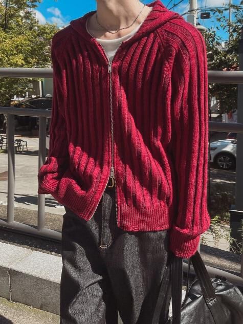 暗直紋拉鍊連帽針織外套 EARN-049JK