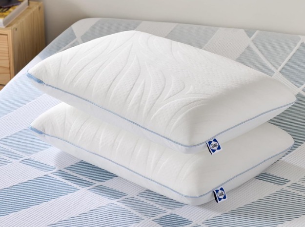 【預購】SEALY Dreamlife H111350 記憶棉涼枕